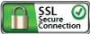 SSL Secure Connection by Arrested Graphics and Web Solutions badge